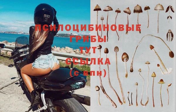стафф Каменск-Шахтинский