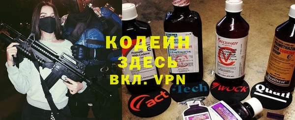 крисы Карпинск