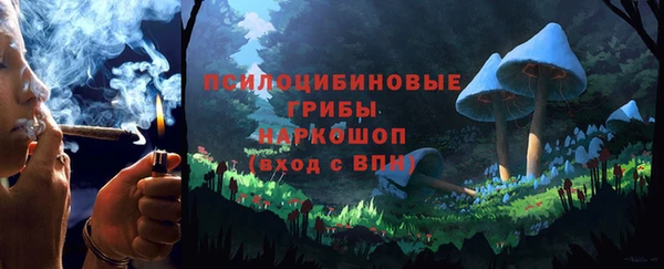 стафф Каменск-Шахтинский